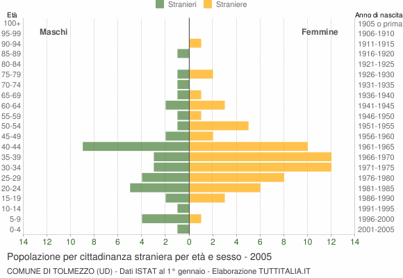 Grafico cittadini stranieri - Tolmezzo 2005
