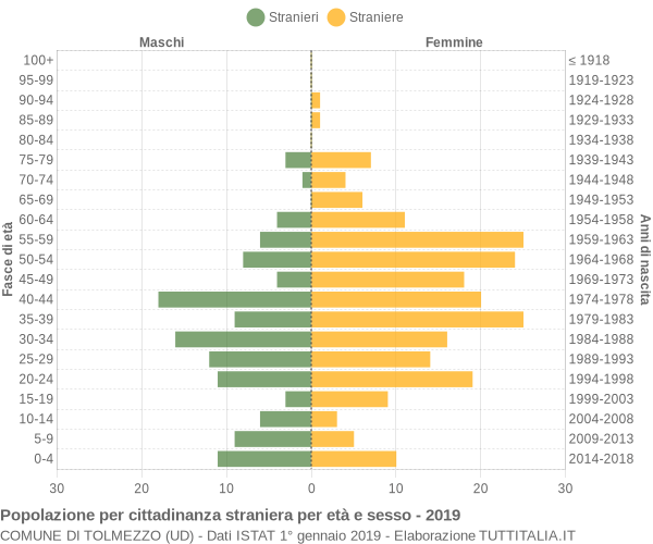 Grafico cittadini stranieri - Tolmezzo 2019