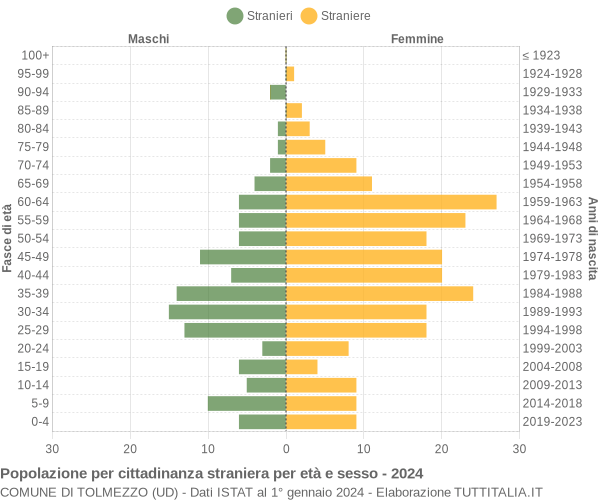 Grafico cittadini stranieri - Tolmezzo 2024