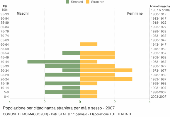 Grafico cittadini stranieri - Moimacco 2007