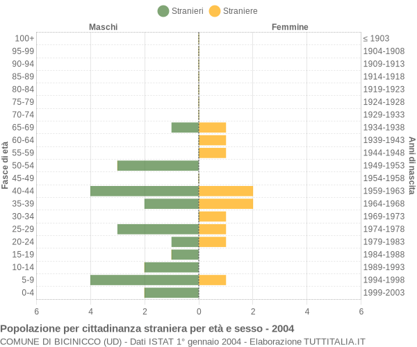 Grafico cittadini stranieri - Bicinicco 2004
