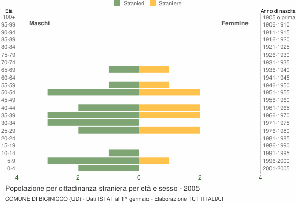 Grafico cittadini stranieri - Bicinicco 2005