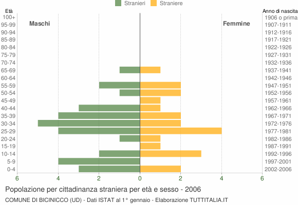 Grafico cittadini stranieri - Bicinicco 2006