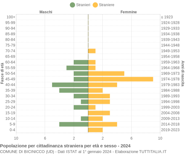 Grafico cittadini stranieri - Bicinicco 2024