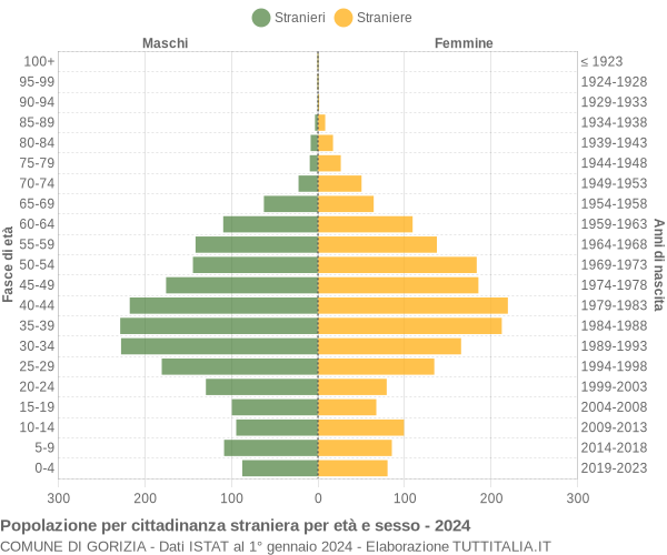 Grafico cittadini stranieri - Gorizia 2024