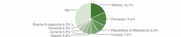 Grafico cittadinanza stranieri - Tavagnacco 2008