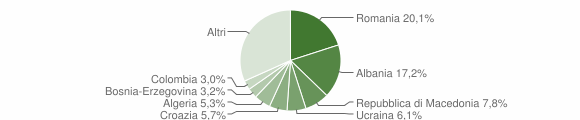 Grafico cittadinanza stranieri - Tavagnacco 2010