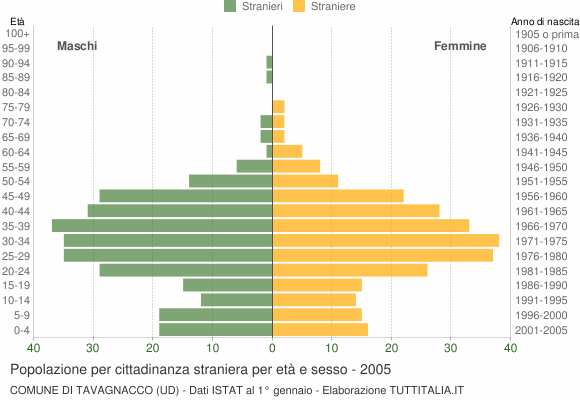Grafico cittadini stranieri - Tavagnacco 2005
