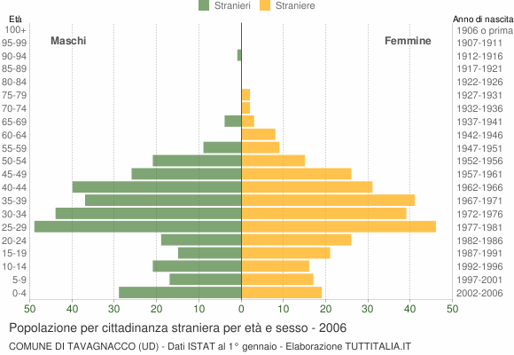 Grafico cittadini stranieri - Tavagnacco 2006