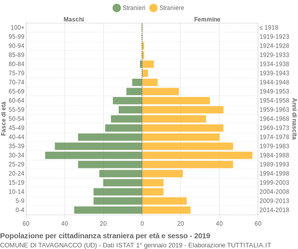 Grafico cittadini stranieri - Tavagnacco 2019