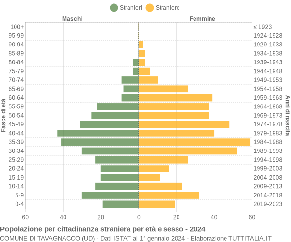 Grafico cittadini stranieri - Tavagnacco 2024