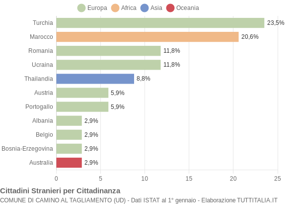 Grafico cittadinanza stranieri - Camino al Tagliamento 2005