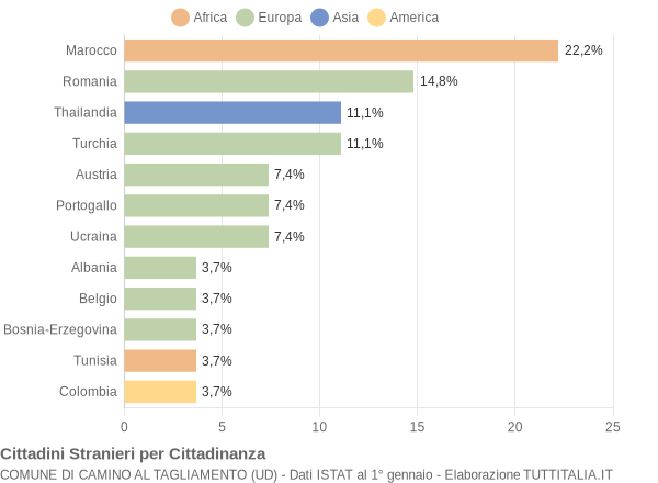 Grafico cittadinanza stranieri - Camino al Tagliamento 2006