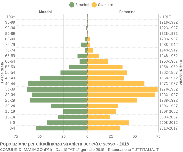 Grafico cittadini stranieri - Maniago 2018