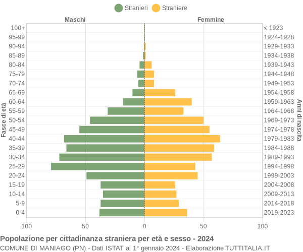 Grafico cittadini stranieri - Maniago 2024