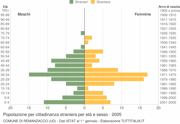 Grafico cittadini stranieri - Remanzacco 2005