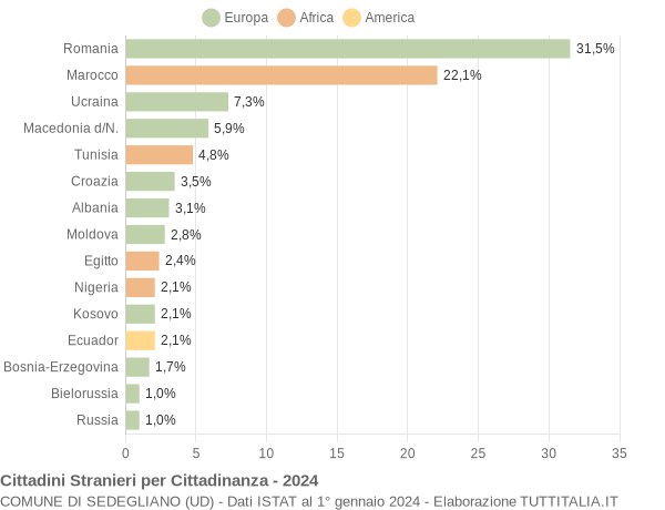 Grafico cittadinanza stranieri - Sedegliano 2024