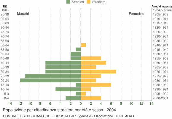 Grafico cittadini stranieri - Sedegliano 2004