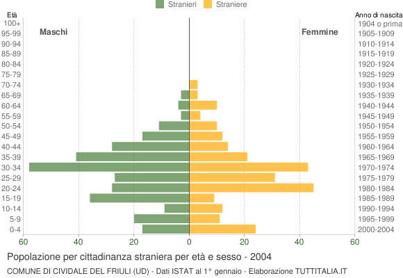 Grafico cittadini stranieri - Cividale del Friuli 2004