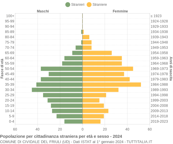 Grafico cittadini stranieri - Cividale del Friuli 2024