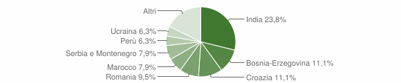 Grafico cittadinanza stranieri - Torviscosa 2004