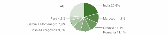 Grafico cittadinanza stranieri - Torviscosa 2005