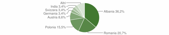 Grafico cittadinanza stranieri - Paluzza 2008