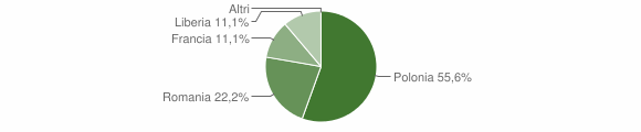 Grafico cittadinanza stranieri - Preone 2011
