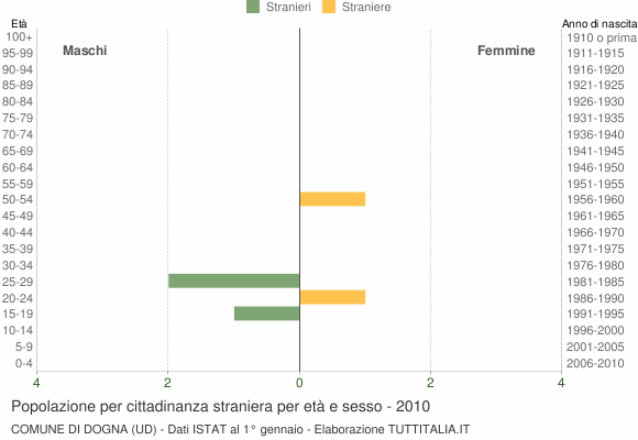 Grafico cittadini stranieri - Dogna 2010