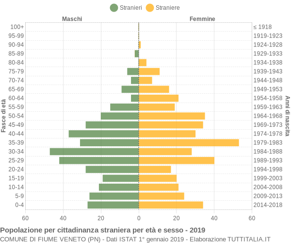 Grafico cittadini stranieri - Fiume Veneto 2019