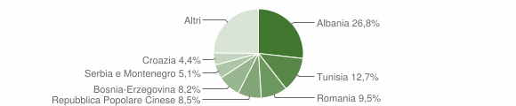 Grafico cittadinanza stranieri - Manzano 2006