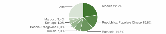 Grafico cittadinanza stranieri - Manzano 2011
