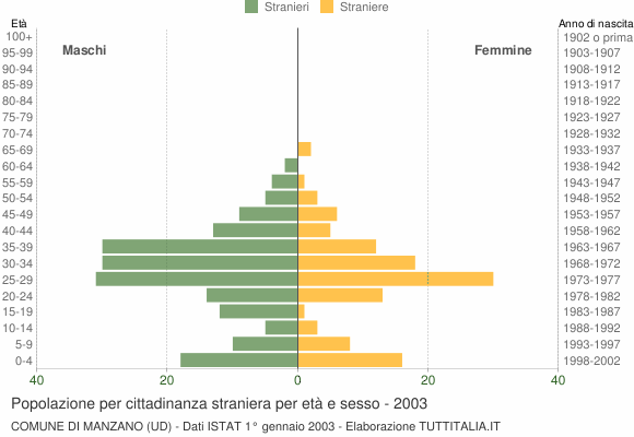 Grafico cittadini stranieri - Manzano 2003