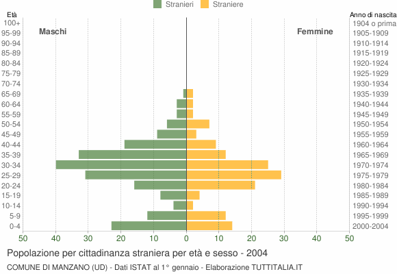 Grafico cittadini stranieri - Manzano 2004