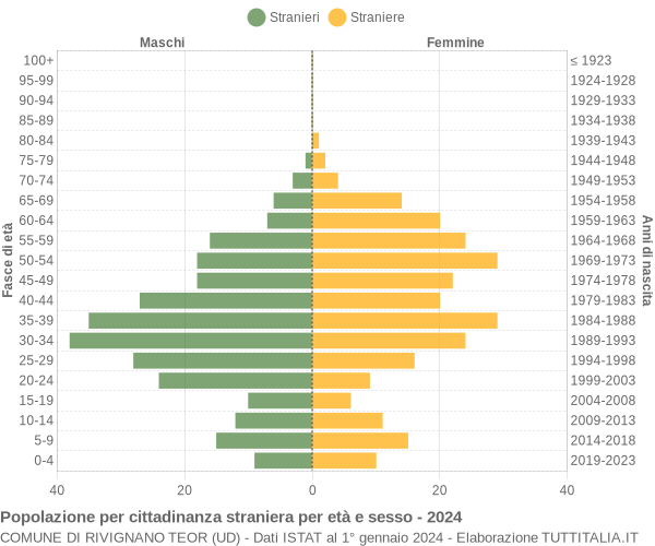 Grafico cittadini stranieri - Rivignano Teor 2024