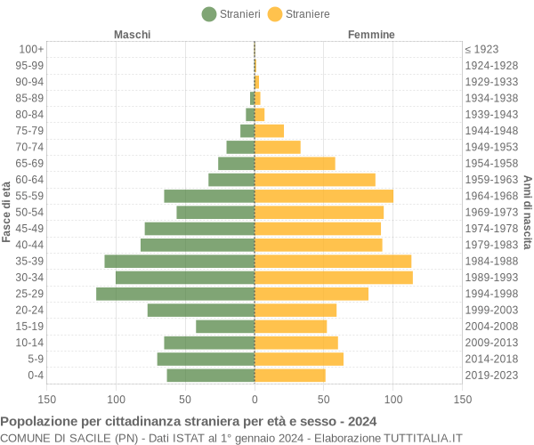 Grafico cittadini stranieri - Sacile 2024