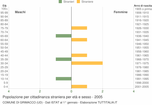 Grafico cittadini stranieri - Grimacco 2005