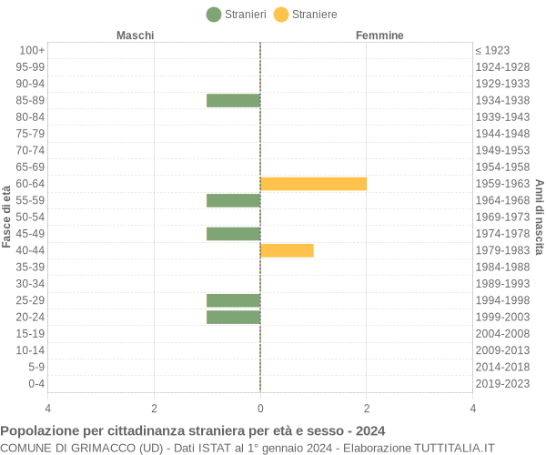 Grafico cittadini stranieri - Grimacco 2024