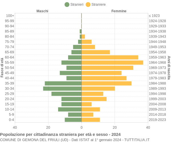 Grafico cittadini stranieri - Gemona del Friuli 2024