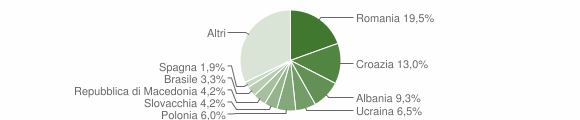 Grafico cittadinanza stranieri - Buja 2008