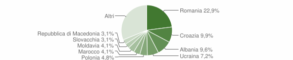 Grafico cittadinanza stranieri - Buja 2010