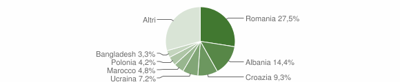 Grafico cittadinanza stranieri - Buja 2013