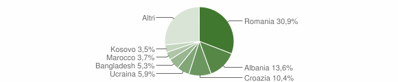 Grafico cittadinanza stranieri - Buja 2016