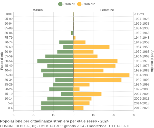 Grafico cittadini stranieri - Buja 2024