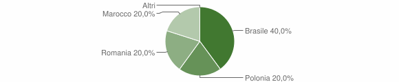 Grafico cittadinanza stranieri - Erto e Casso 2009