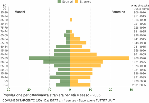 Grafico cittadini stranieri - Tarcento 2005