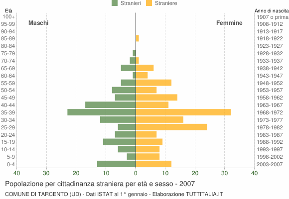 Grafico cittadini stranieri - Tarcento 2007