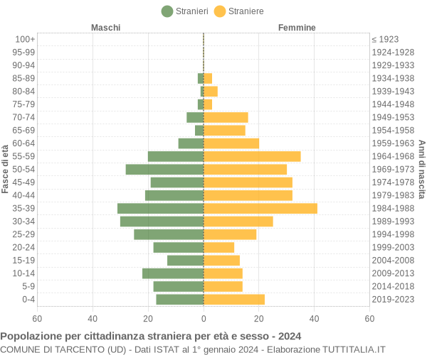 Grafico cittadini stranieri - Tarcento 2024