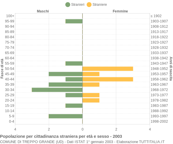 Grafico cittadini stranieri - Treppo Grande 2003