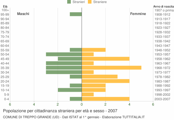 Grafico cittadini stranieri - Treppo Grande 2007